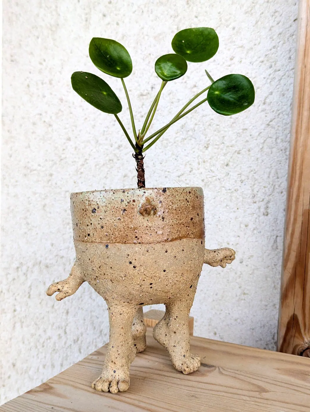 Pot anthropomorphe en grès portant une plante